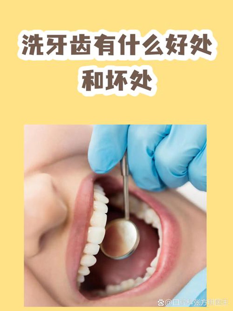 种植牙价格解析：了解背后的因素与变化