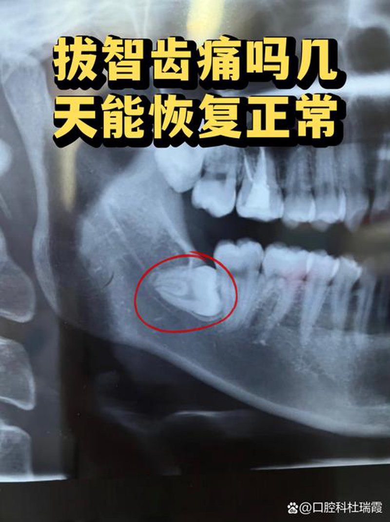 武汉口腔：守护城市微笑的美丽工程